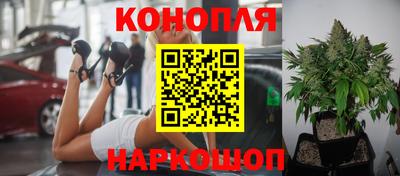 apvp Пыть-Ях