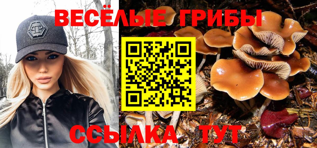 Соль-Илецк  Псилоцибиновые грибы прущие грибы  Вход с VPN 